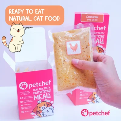 Healthy cat food by Petchef, chicken recipe