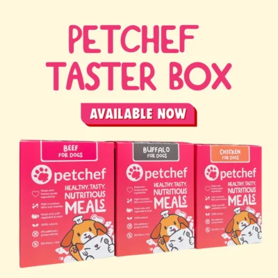 Healthy dog food by Petchef, taster box mixed recipes